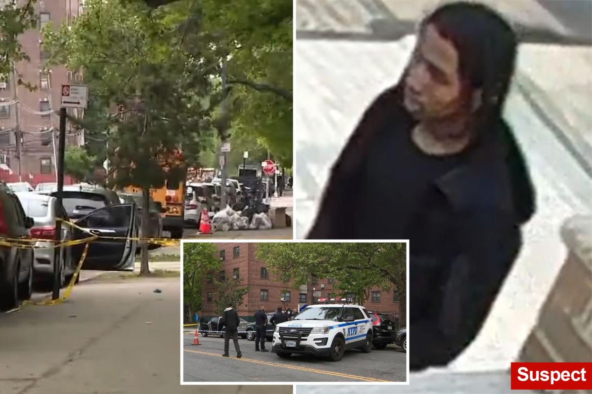 Boy, 14, shot while sitting in parked car in apparently targeted NYC attack: cops, sources