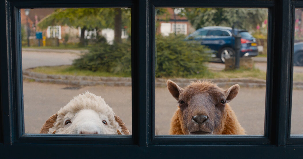 ‘The Sheep Detectives’ Review: A Murder Most Fleecy