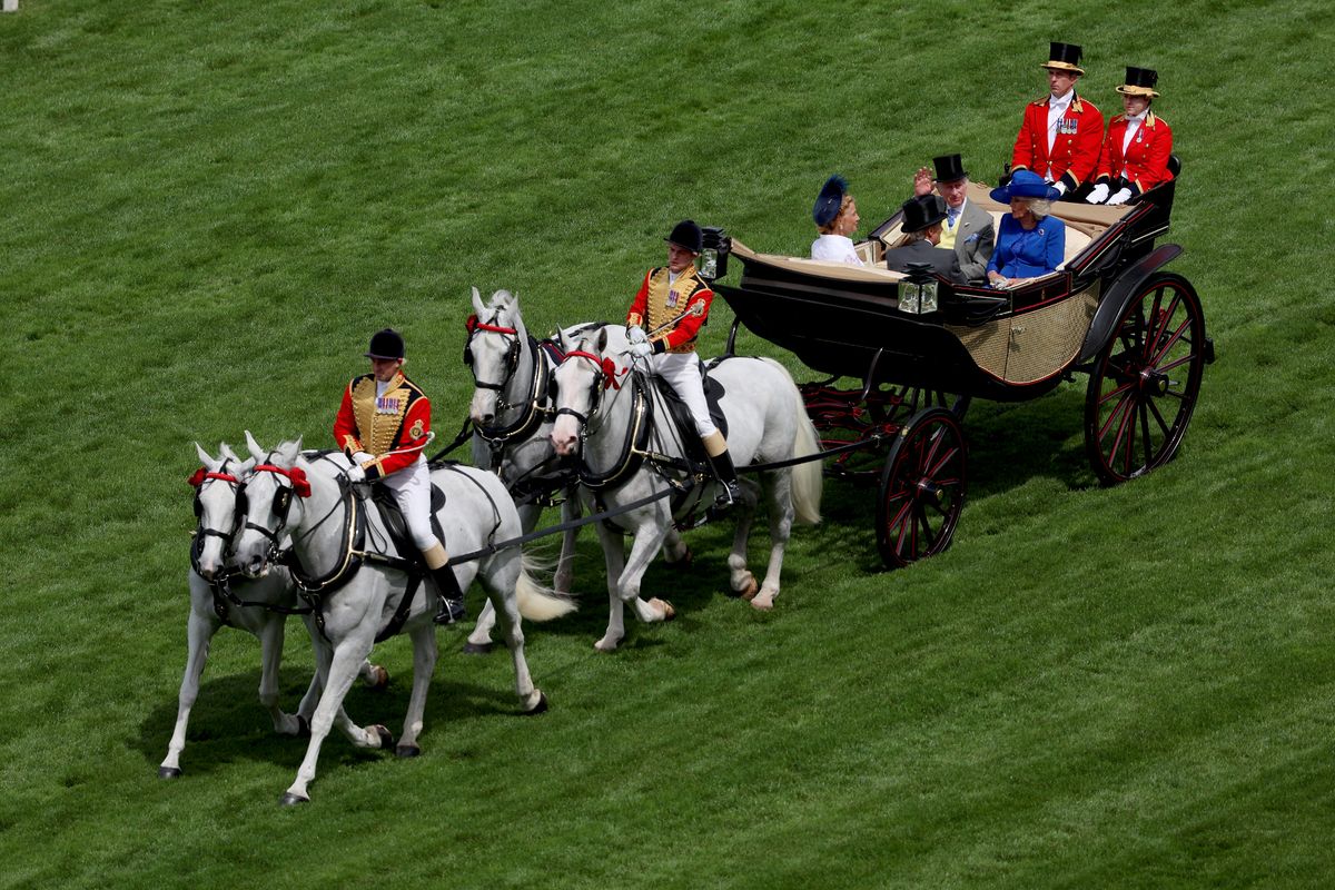 King Charles and Queen Camilla Royal procession at Ascot is facing challenges from a rise in equine flu