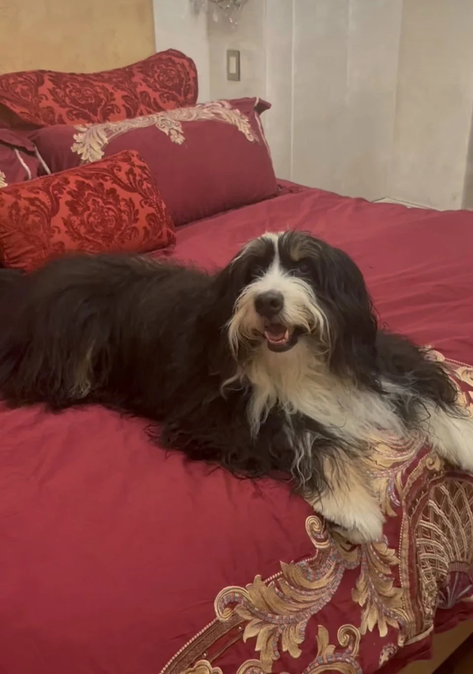 Michelle lives in an approximately 1,400-square-foot, two-bedroom, two-bathroom apartment in Greenwich Village, NY with her dog, Bear.