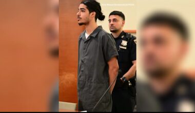 News 12 | Bronx | Tiktoker Accused Of Stabbing Teen To Death Is A No Show In Court