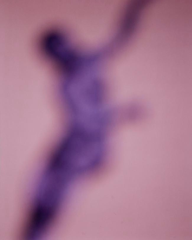 Bill Armstrong, Renaissance #1006, 2006
