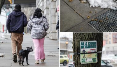 Exclusive | Dog poo plagues Manhattan, skidding to gross record over winter: 'This c--