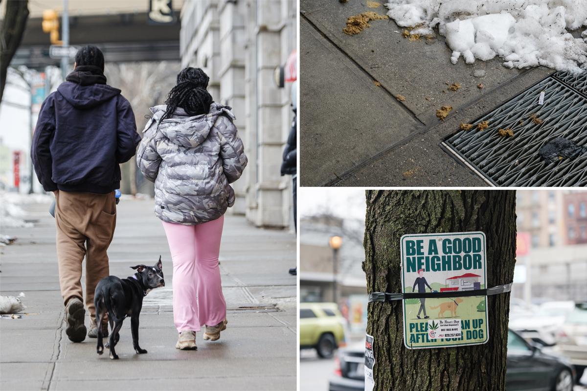 Exclusive | Dog poo plagues Manhattan, skidding to gross record over winter: 'This c--