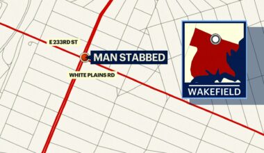 51bxnewstabbing_2026-05-01-09-12-37