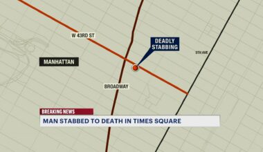 News 12 | Bronx | Man Fatally Stabbed In Times Square