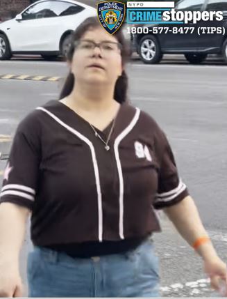Woman sought for allegedly assaulting young boy in Flushing playground in front of his mother: DA – QNS