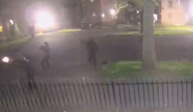 Deadly Gang Feud Left Bystander Paralyzed in Brooklyn