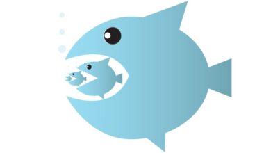 Big fish eats small fish, food chain or takeover business concept vector illustration