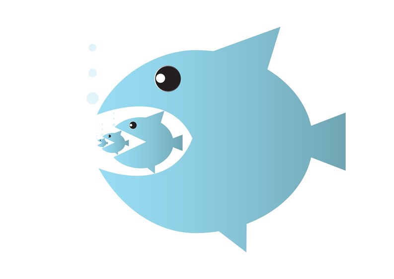 Big fish eats small fish, food chain or takeover business concept vector illustration