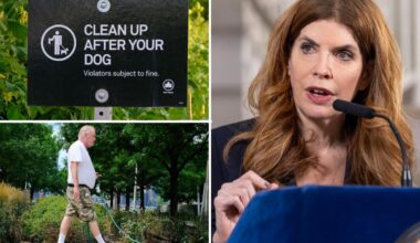 NYC Council introduces new bills to tackle dog poop issues