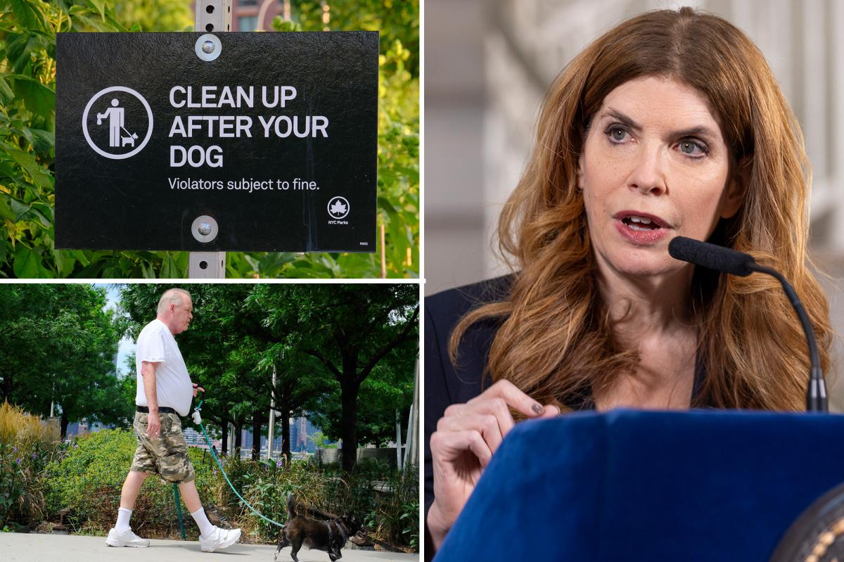 NYC Council introduces new bills to tackle dog poop issues