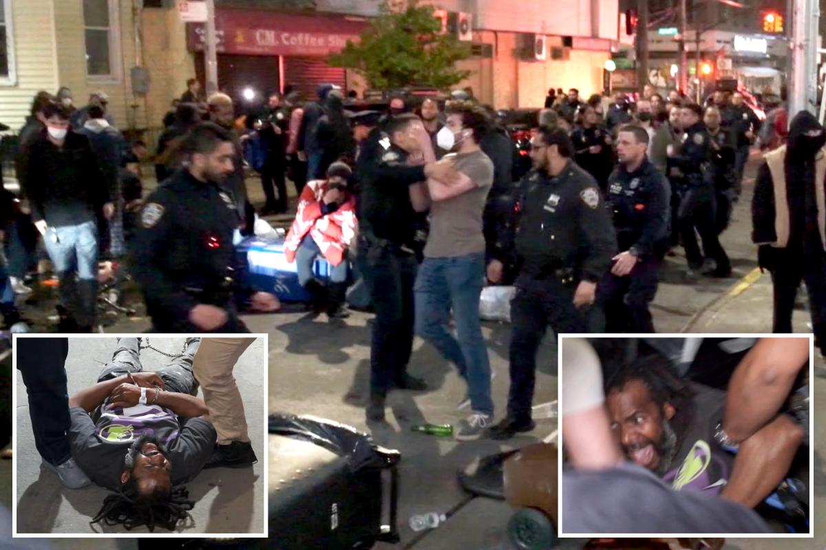 Anti-ICE protesters mob NYC hospital as 9 activists arrested in chaotic clash with law enforcement