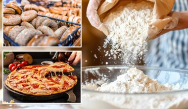 New York could ban common ingredient found in pizza and bagels over health concerns