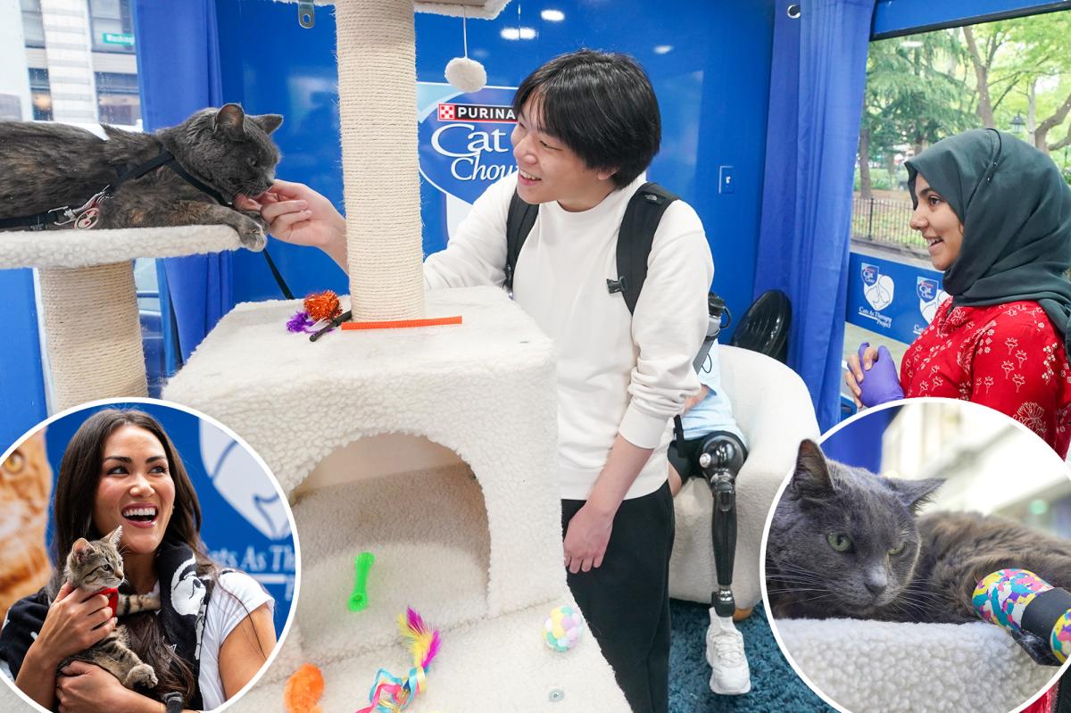 'Cat therapy' brings purr-fect relief to stressed NY students