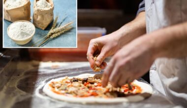 New Yorkers offer mixed-topping of reactions to impending ban on key common pizza ingredient