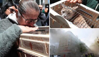 Cat trapped in building after massive NYC fire rescued, five more pets still inside
