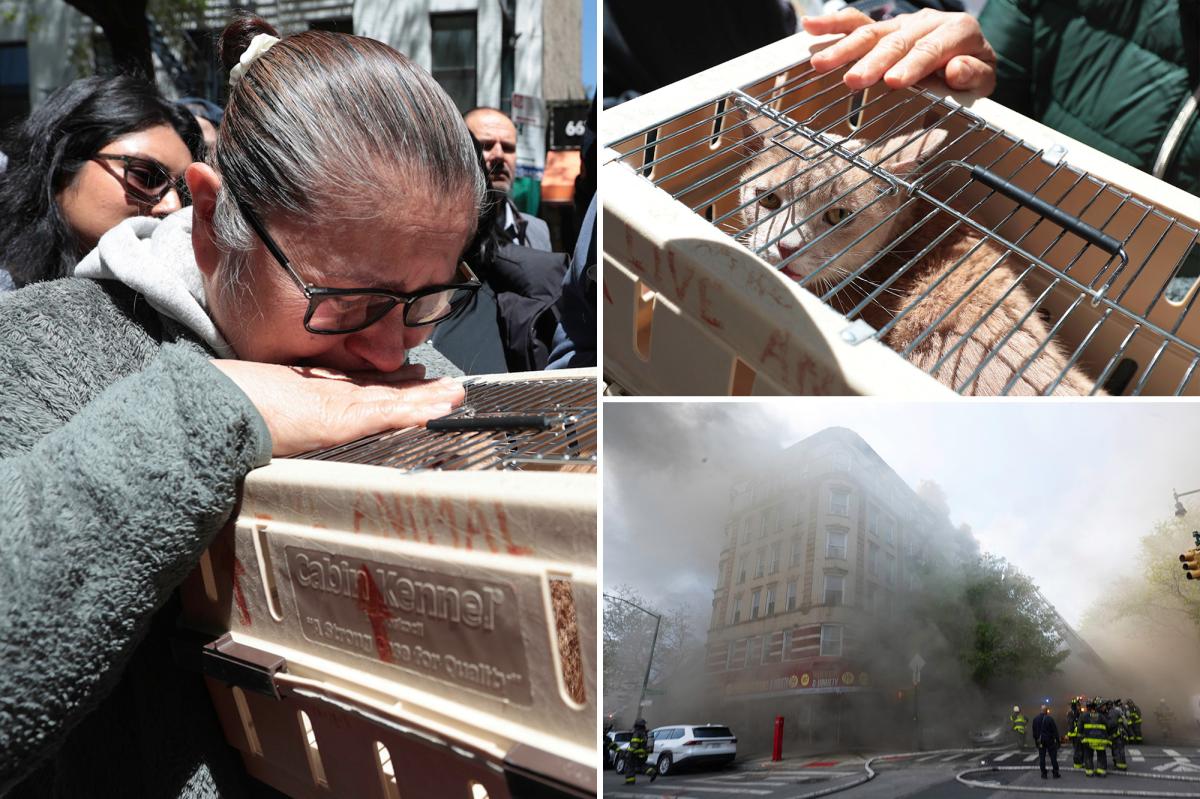 Cat trapped in building after massive NYC fire rescued, five more pets still inside