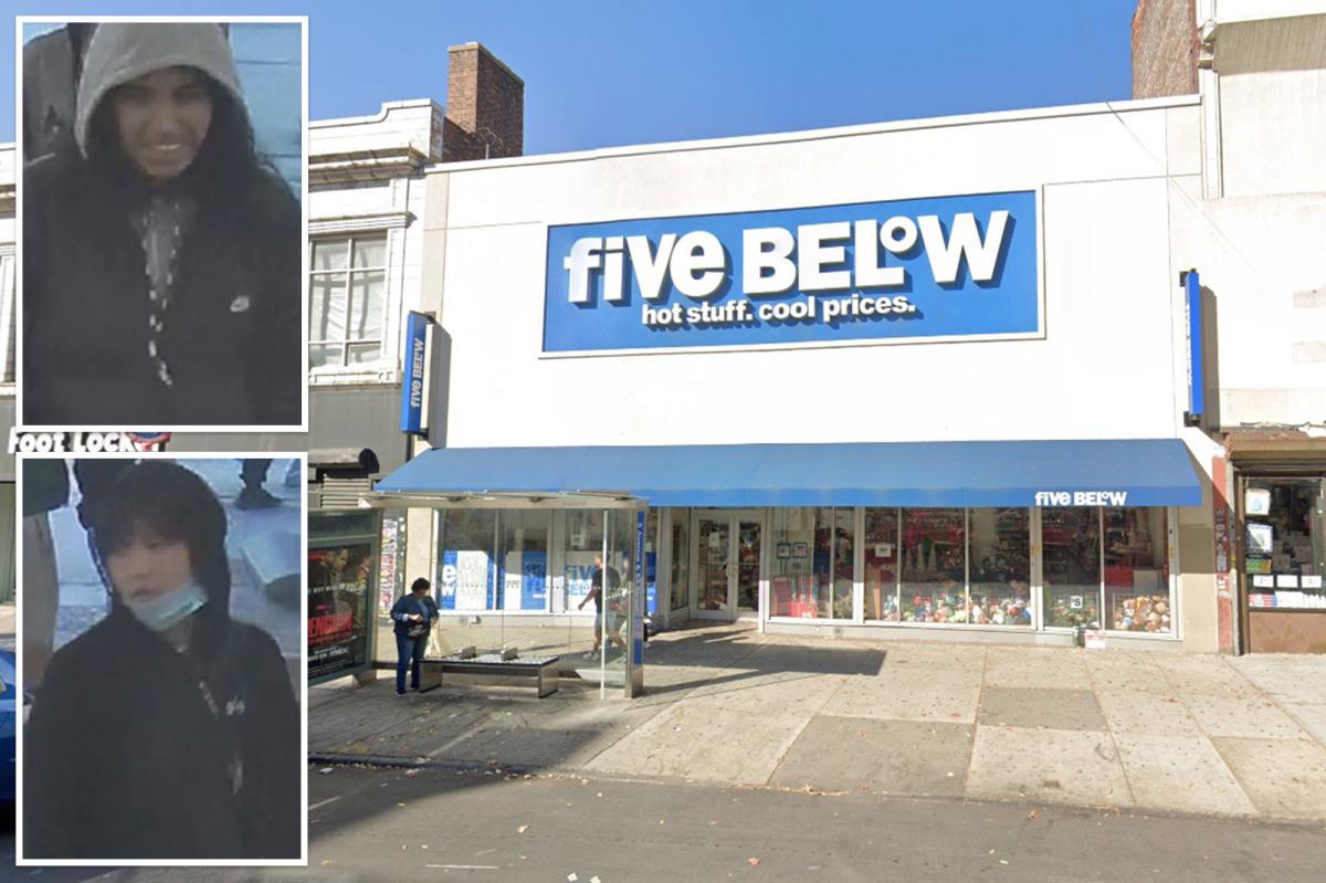 Violent duo punches, slashes NYC Five Below worker in brutal attack over bag-checking: cops, sources