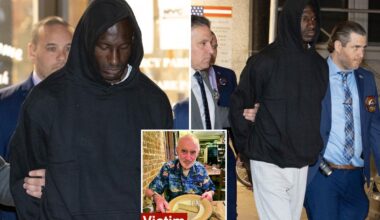 Stranger assaulted by maniac weeks before he pushed retired NYC teacher to death recounts frightening attack