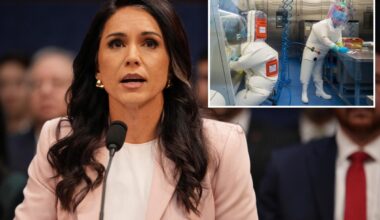 DNI Tulsi Gabbard probes US funding to more than 120 biolabs abroad