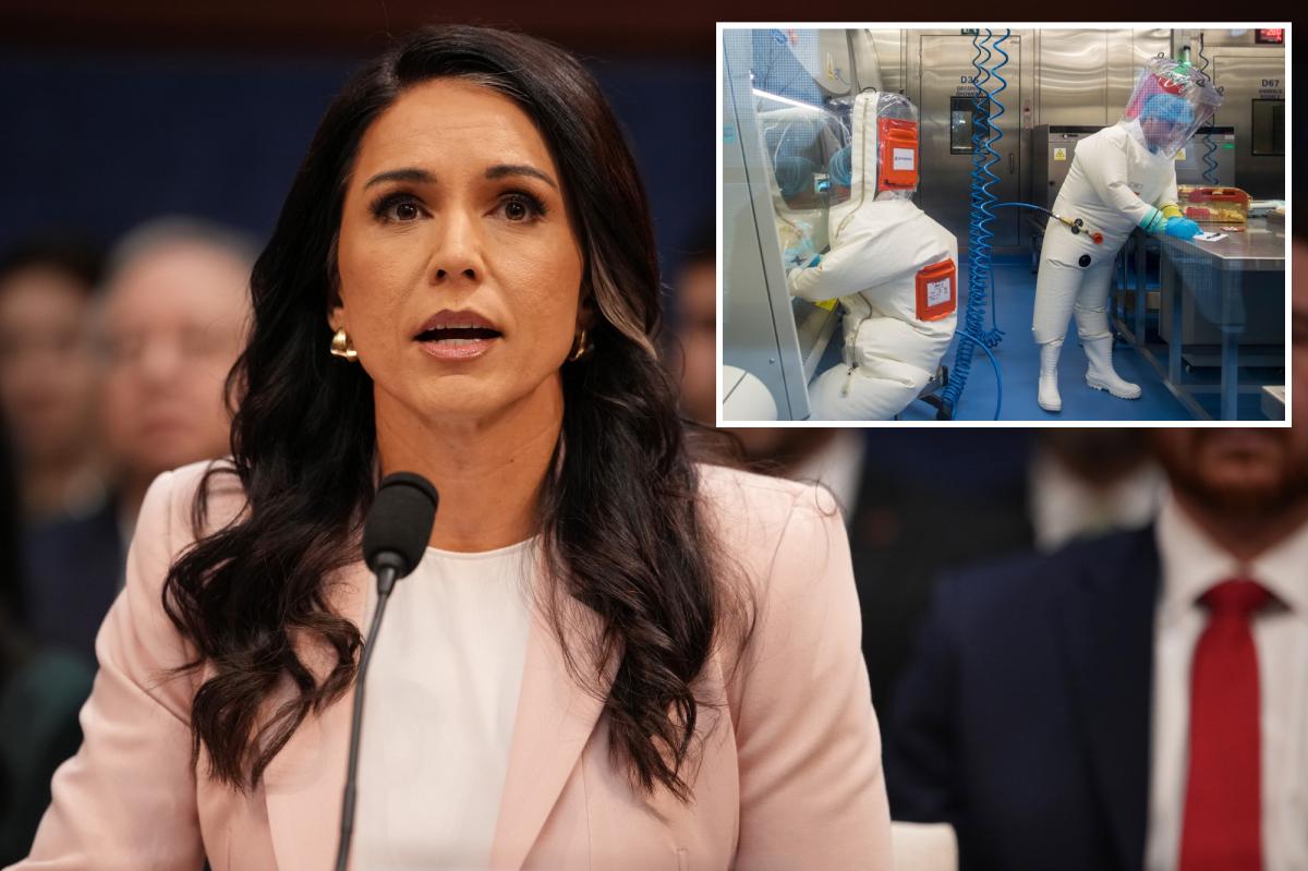DNI Tulsi Gabbard probes US funding to more than 120 biolabs abroad