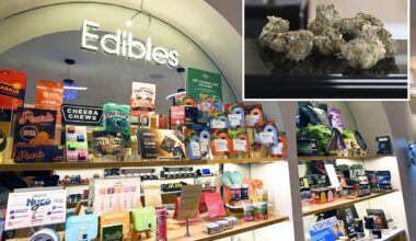 New York's legal weed sales top $5M a day -- but illegal market could be 10 times larger
