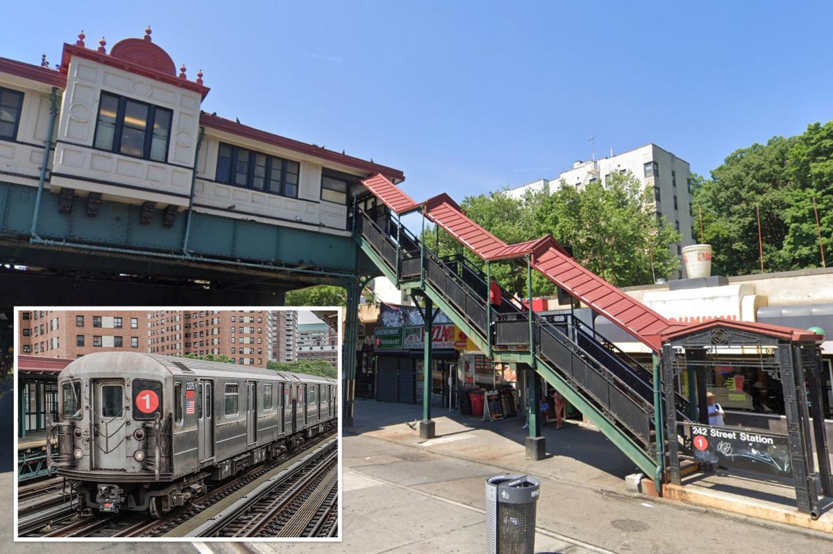 Homeless man with 22 previous arrests allegedly kills vagrant in cane battle on NYC train