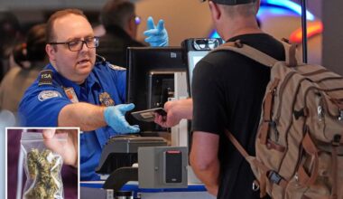 TSA quietly starts letting passengers bring weed on planes — with a catch