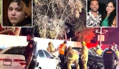 Accused DUI driver's six-word reply to cops after horrific crash killed couple