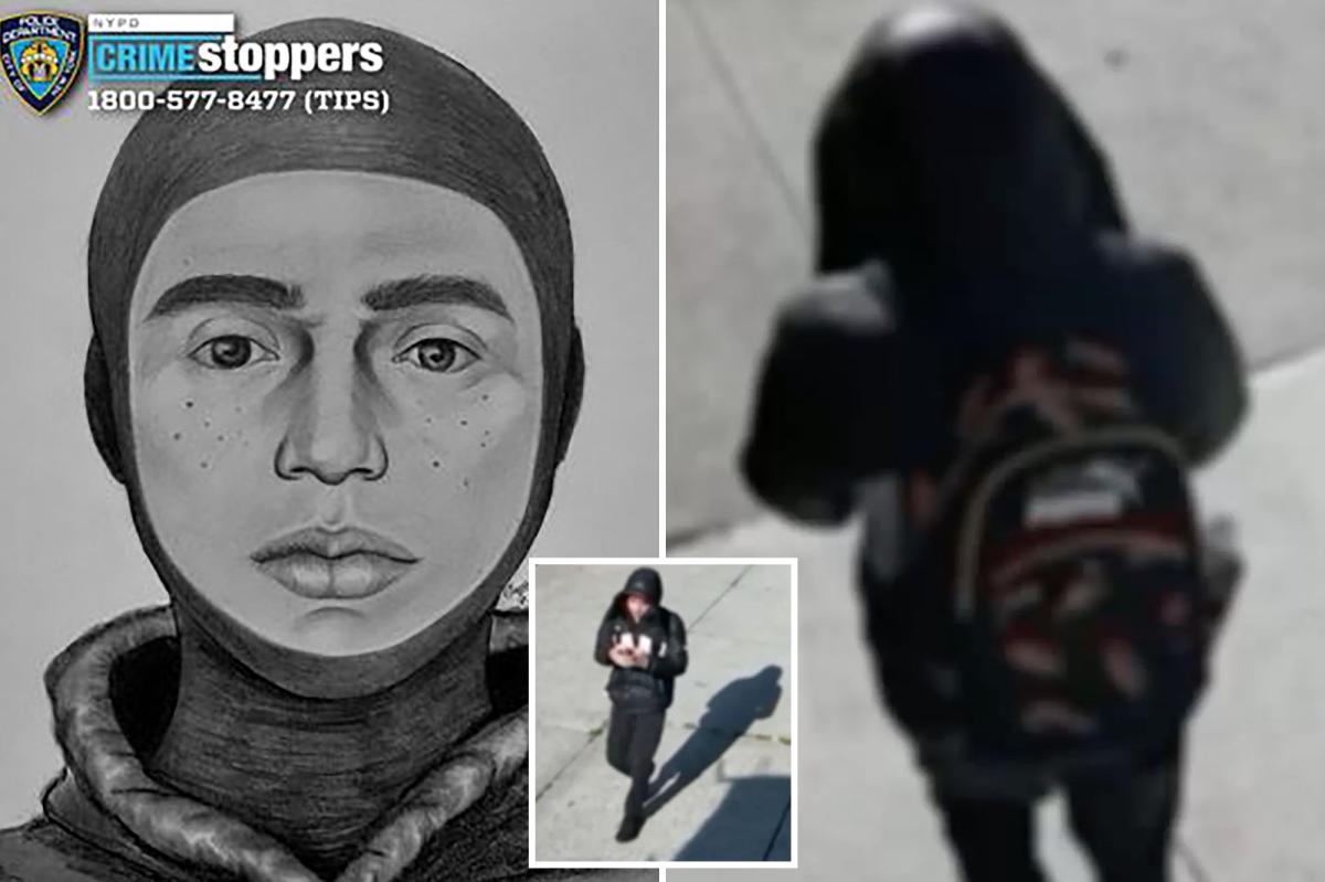 Predator rapes woman, 59, inside waterfront NYC park: cops