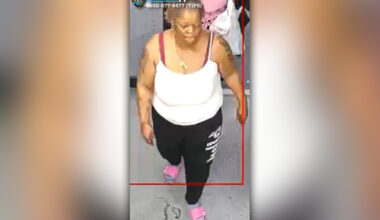 Tattooed woman sought for fatally stabbing Brooklyn man