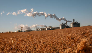House Approves Year-Round Sale of Higher-Ethanol Gas