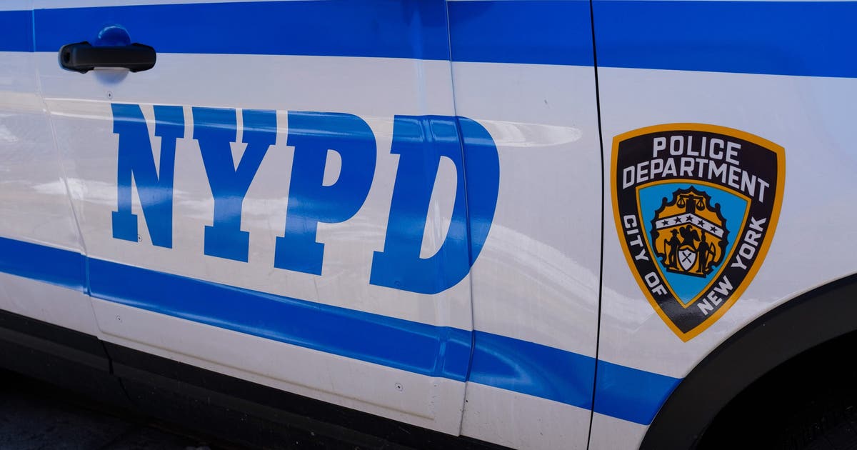 Teen arrested after 9-year-old punched multiple times at Bronx park