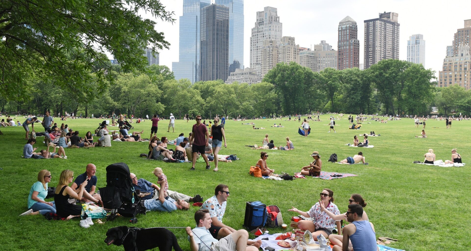 40 Best May Events in NYC 2026 For Things To Do