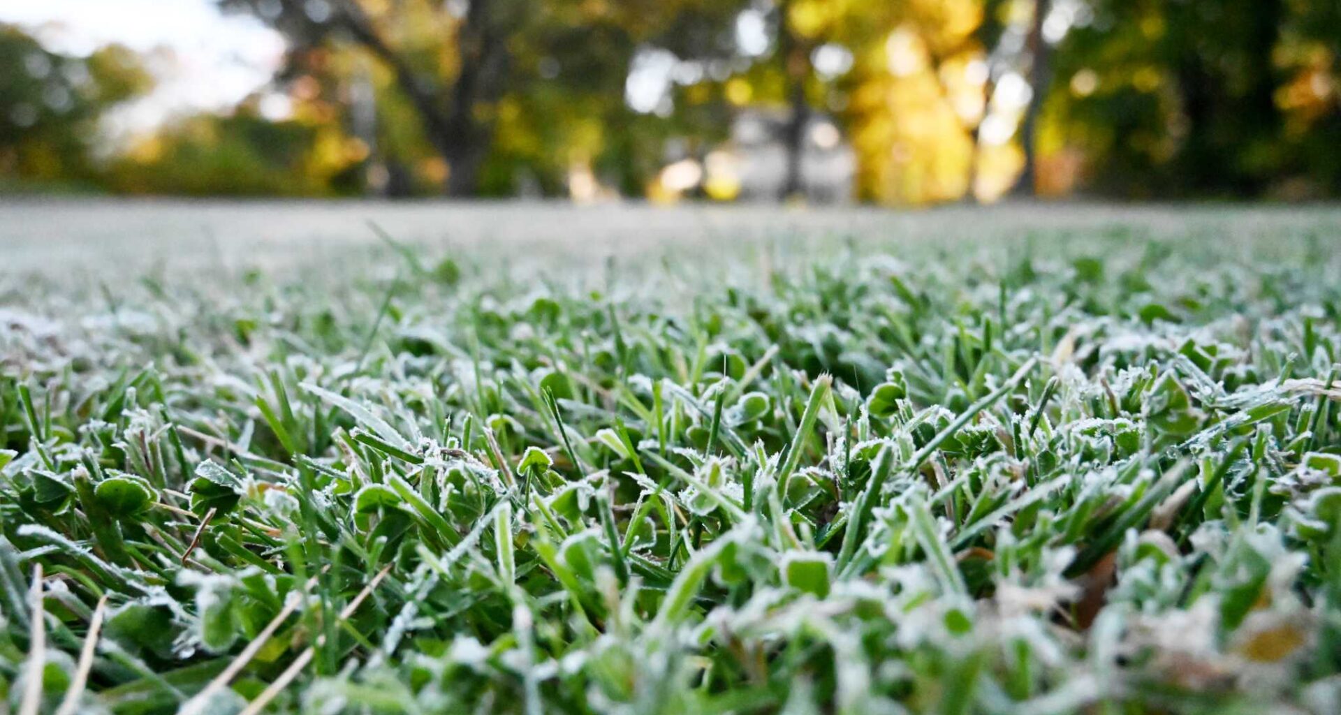 Frost warning issued for Albany area, Hudson Valley
