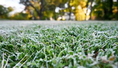 Frost warning issued for Albany area, Hudson Valley