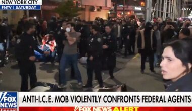 Anti-ICE mob violently confronts federal agents in NYC after immigrant arrest