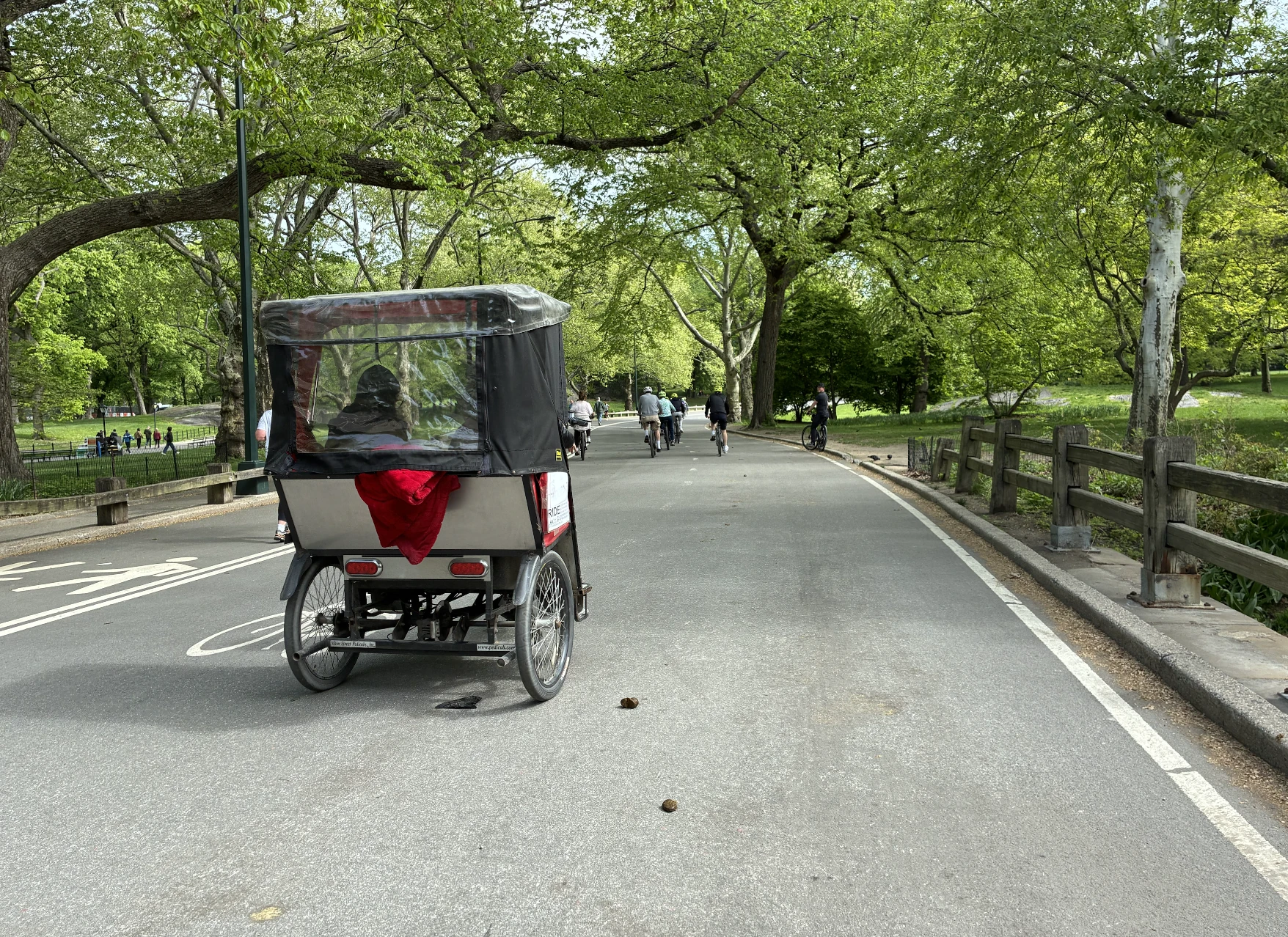 Pedicab tour of Central Park