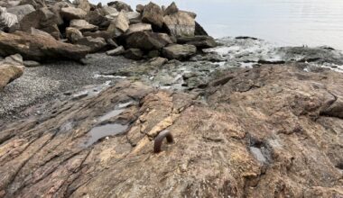 The Revolutionary War-era hooks drilled into the rocks at Jeffrey’s Hook in Upper Manhattan