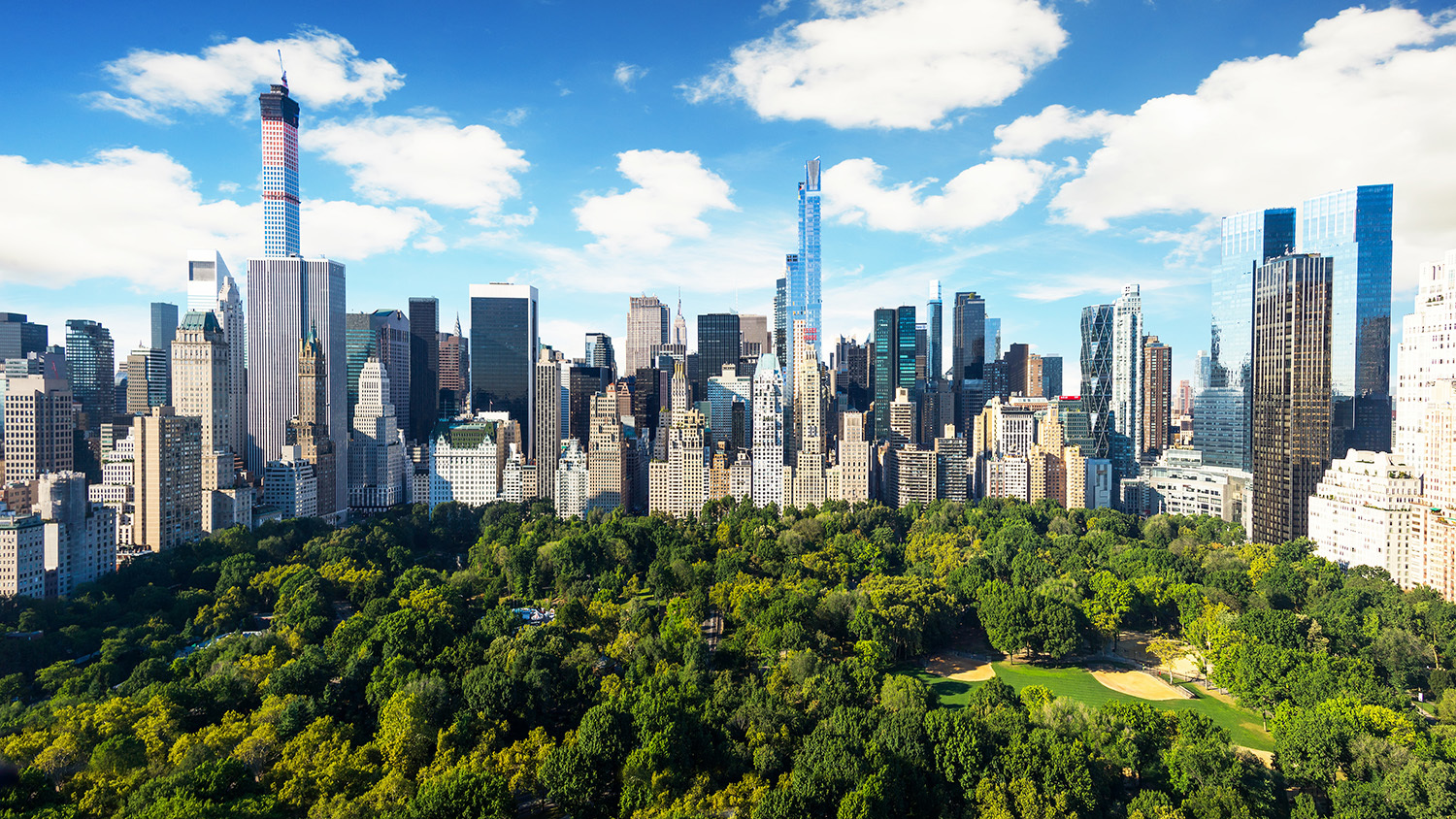Central Park | Manhattan, NY