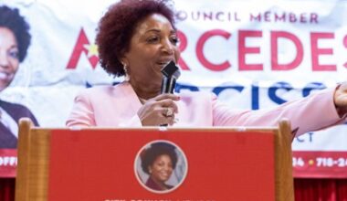 Two Brooklyn legislators got in a tussle. Now they’re running against each other.