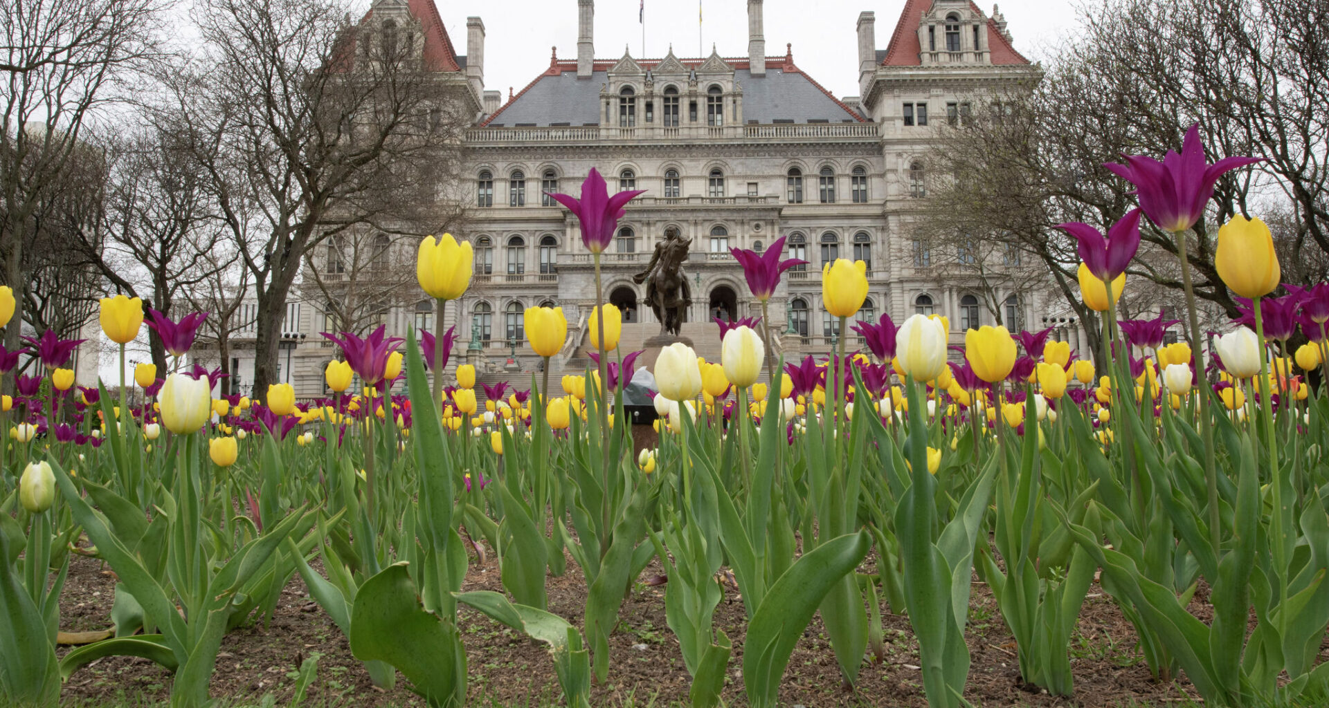 Photo by Lori Van Buren/Times Union