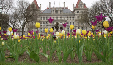 Photo by Lori Van Buren/Times Union