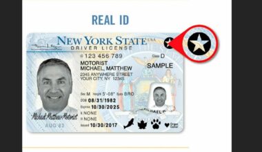Long Islanders hold more REAL IDs than average New Yorkers