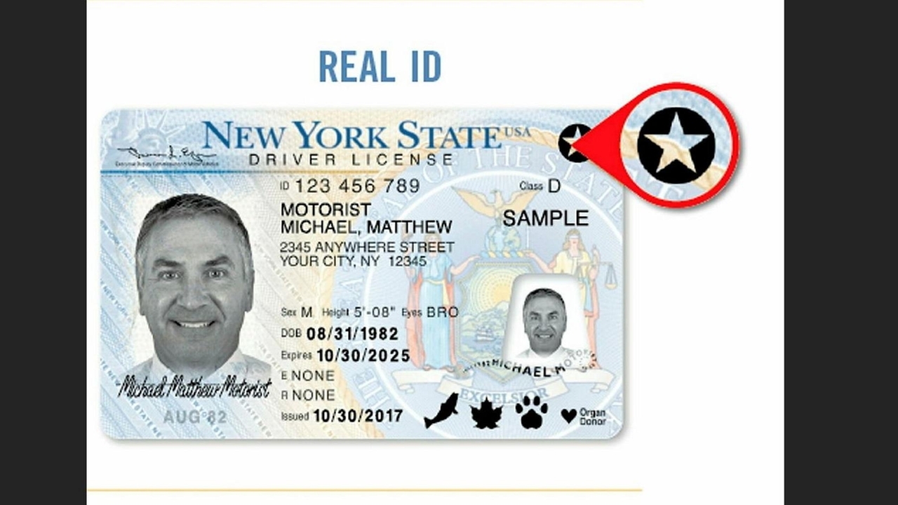 Long Islanders hold more REAL IDs than average New Yorkers
