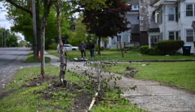 Injuries reported in Sunday crash that closed Albany's Western Avenue