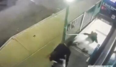 Ignore Mamdani's gaslighting — NYC subway violence is worse than you remember