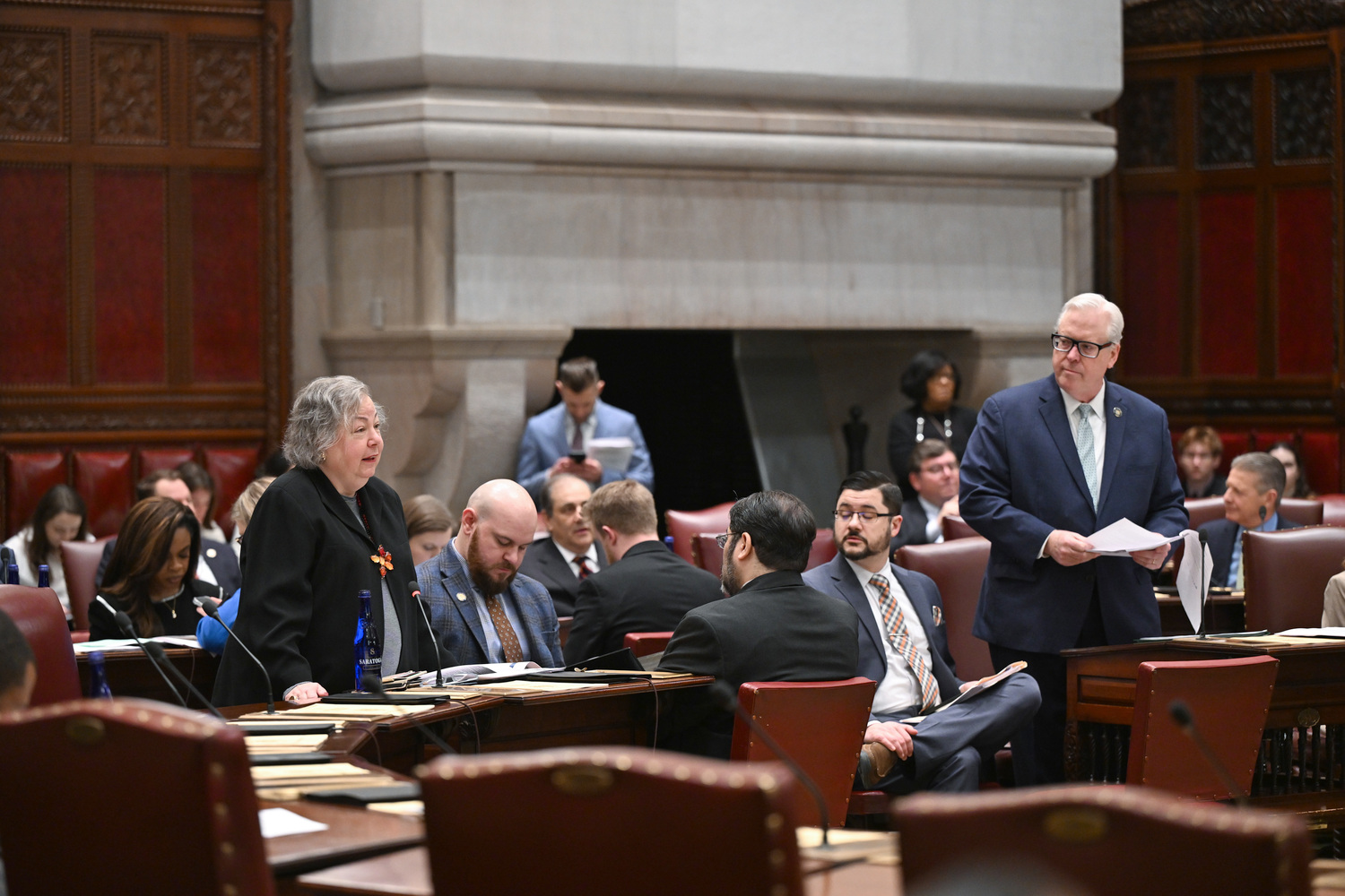 NYS Senators Liz Krueger & Thomas O