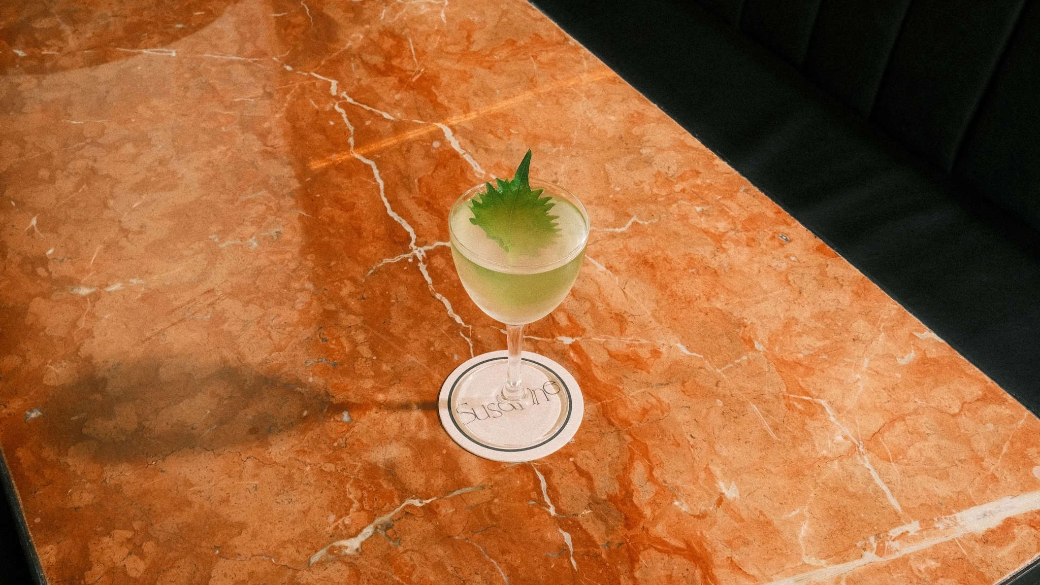 Vesper drink with a green frond in it